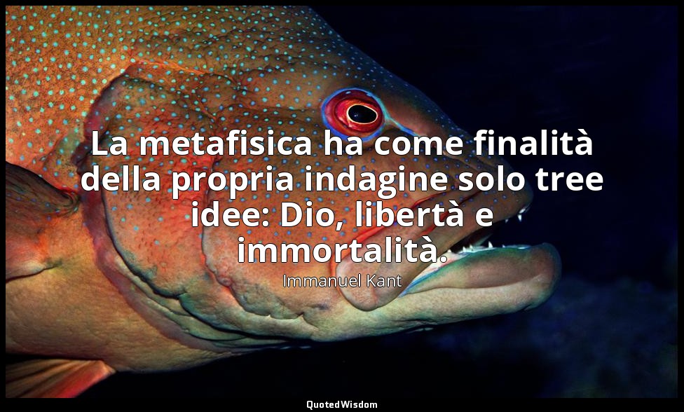 La metafisica ha come finalità della propria indagine solo tree idee: Dio, liber — Immanuel Kant