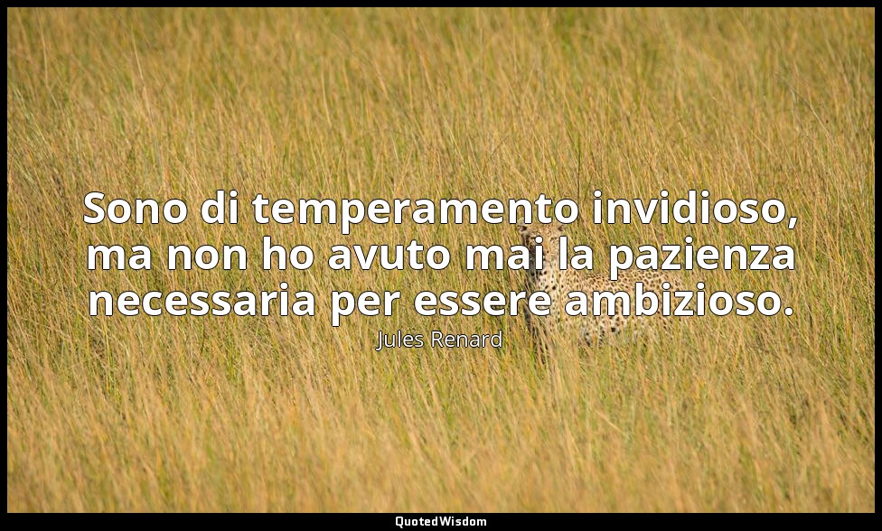 Sono di temperamento invidioso, ma non ho avuto mai la pazienza necessaria per e — Jules Renard