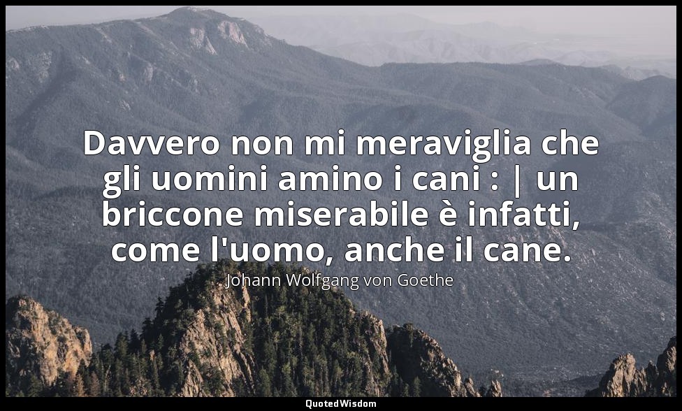 Davvero non mi meraviglia che gli uomini amino i cani : | un briccone miserabile — Johann Wolfgang von Goethe
