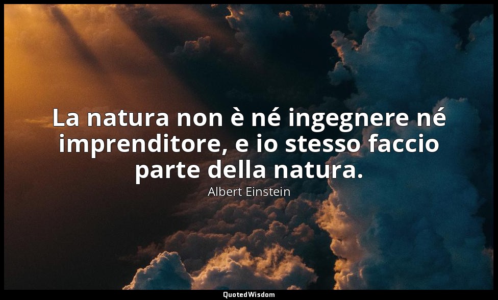 La natura non è né ingegnere né imprenditore, e io stesso faccio parte della nat — Albert Einstein