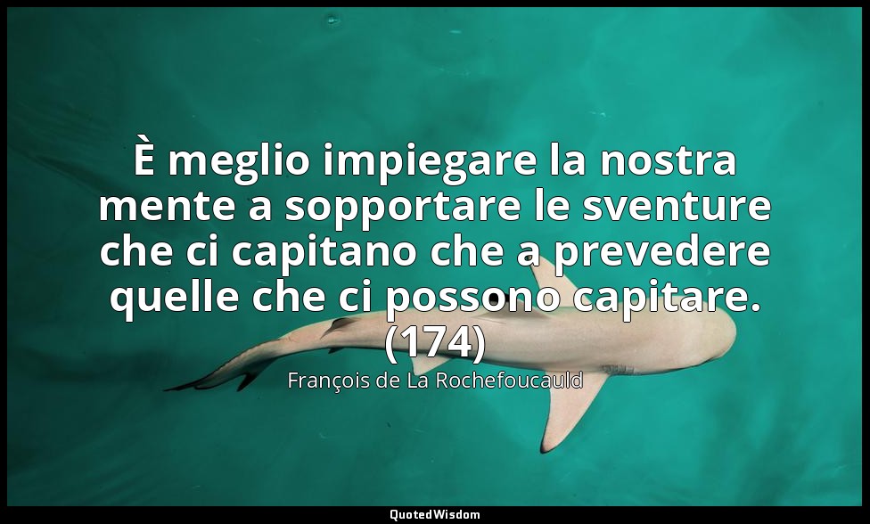 È meglio impiegare la nostra mente a sopportare le sventure che ci capitano che  — François de La Rochefoucauld