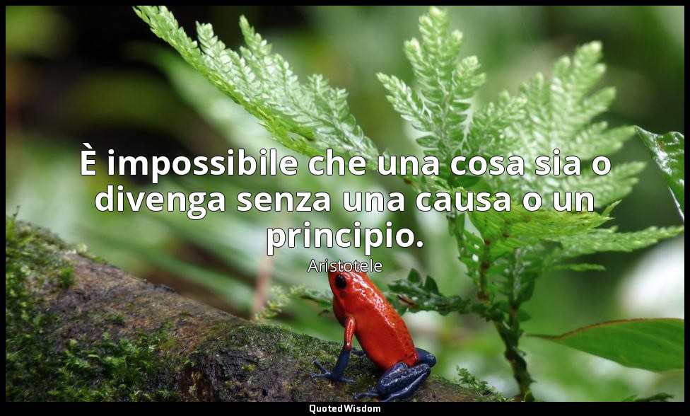 È impossibile che una cosa sia o divenga senza una causa o un principio. — Aristotele