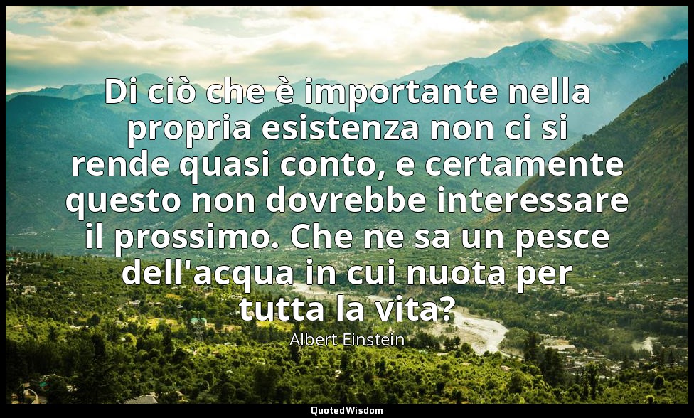 Di ciò che è importante nella propria esistenza non ci si rende quasi conto, e c — Albert Einstein