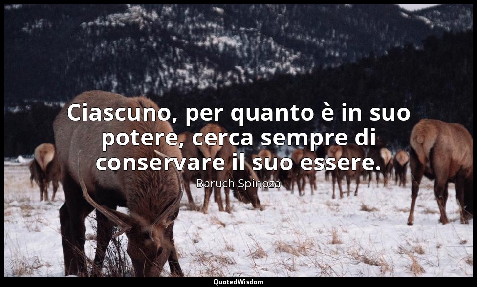 Ciascuno, per quanto è in suo potere, cerca sempre di conservare il suo essere. — Baruch Spinoza