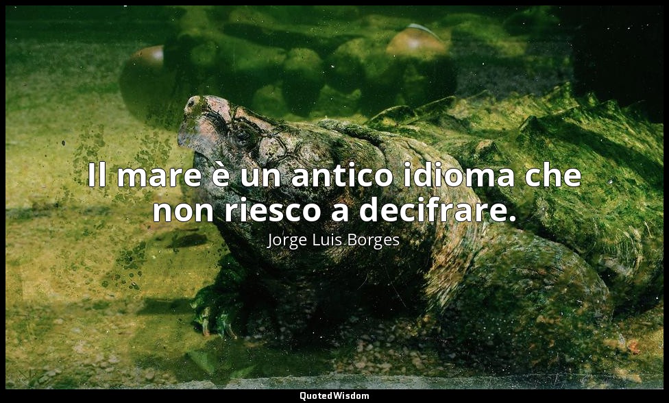Il mare è un antico idioma che non riesco a decifrare. — Jorge Luis Borges