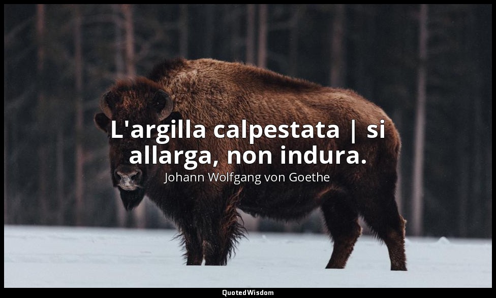 L'argilla calpestata | si allarga, non indura. — Johann Wolfgang von Goethe