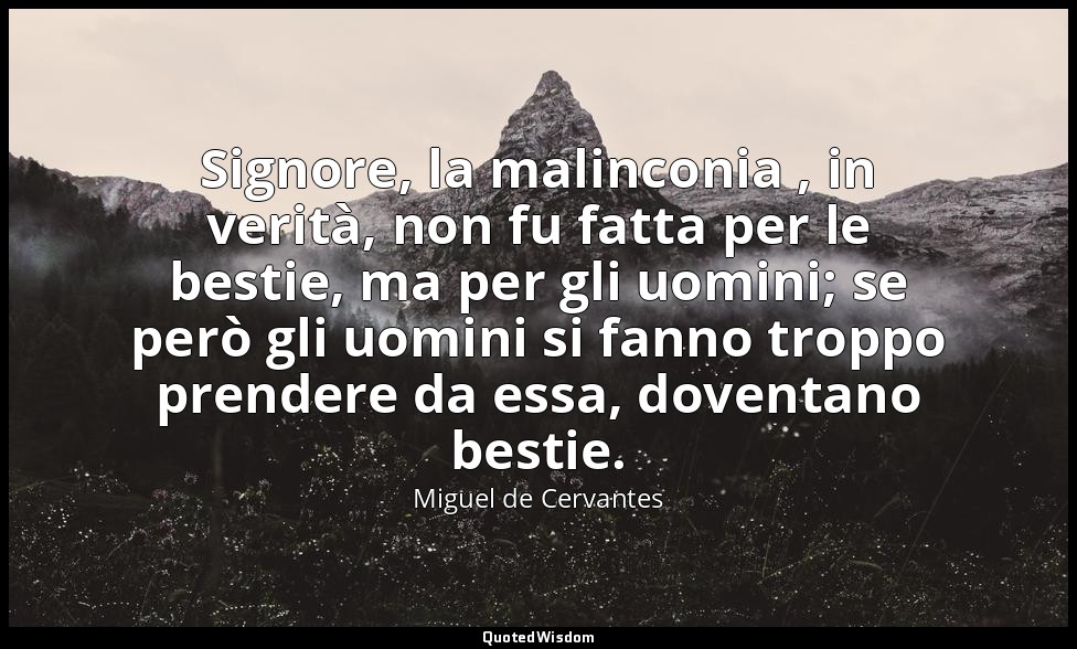 Signore, la malinconia , in verità, non fu fatta per le bestie, ma per gli uomin — Miguel de Cervantes