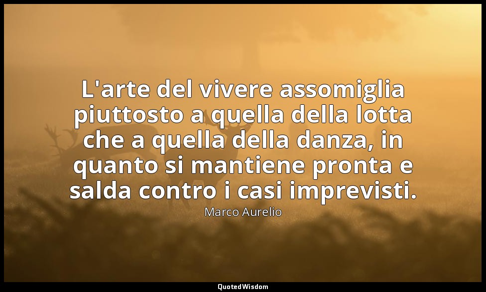 L'arte del vivere assomiglia piuttosto a quella della lotta che a quella della d — Marco Aurelio