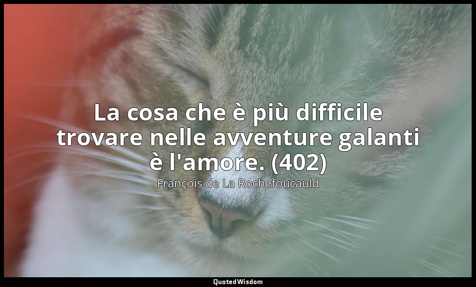 La cosa che è più difficile trovare nelle avventure galanti è l'amore. (402) — François de La Rochefoucauld