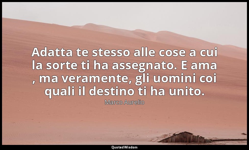 Adatta te stesso alle cose a cui la sorte ti ha assegnato. E ama , ma veramente, — Marco Aurelio