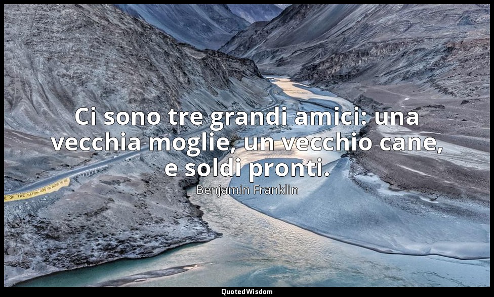 Ci sono tre grandi amici: una vecchia moglie, un vecchio cane, e soldi pronti. — Benjamin Franklin