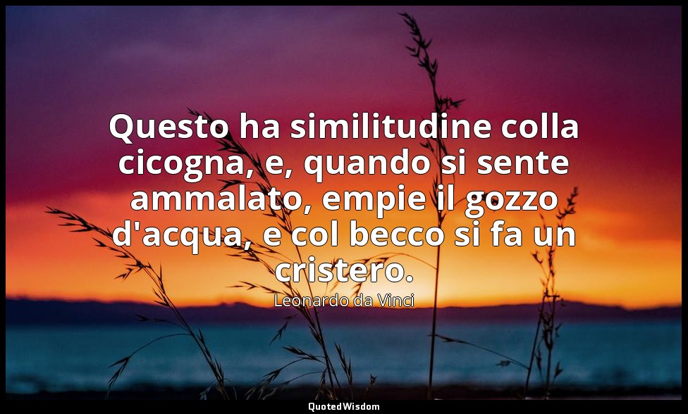 Questo ha similitudine colla cicogna, e, quando si sente ammalato, empie il gozz — Leonardo da Vinci
