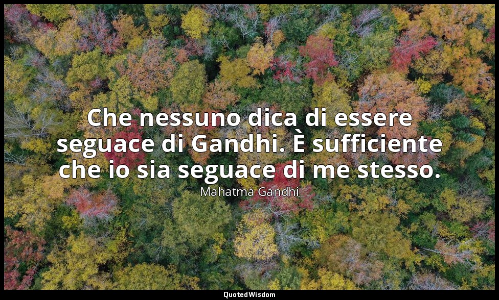 Che nessuno dica di essere seguace di Gandhi. È sufficiente che io sia seguace d — Mahatma Gandhi