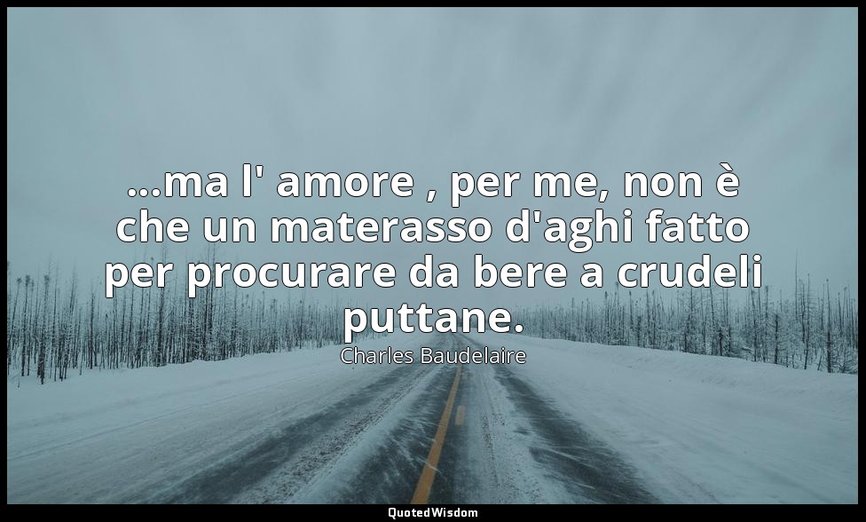 ...ma l' amore , per me, non è che un materasso d'aghi fatto per procurare da be — Charles Baudelaire