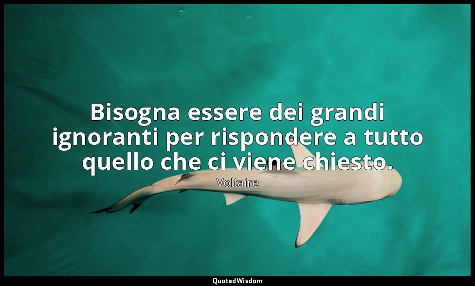 Bisogna essere dei grandi ignoranti per rispondere a tutto quello che ci viene c — Voltaire