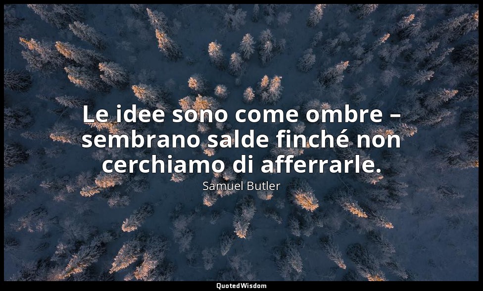 Le idee sono come ombre – sembrano salde finché non cerchiamo di afferrarle. — Samuel Butler