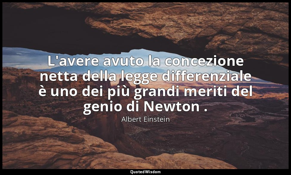 L'avere avuto la concezione netta della legge differenziale è uno dei più grandi — Albert Einstein
