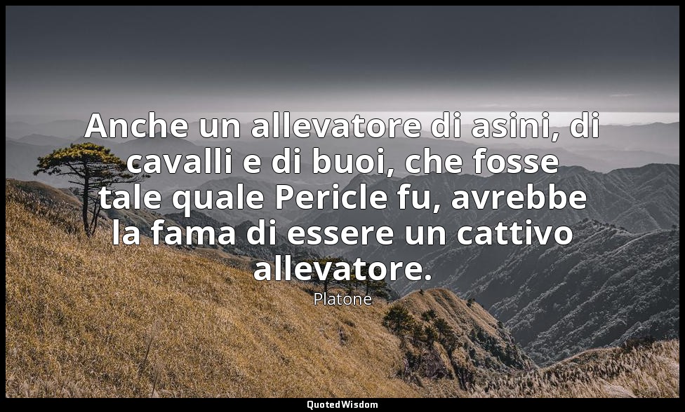 Anche un allevatore di asini, di cavalli e di buoi, che fosse tale quale Pericle — Platone