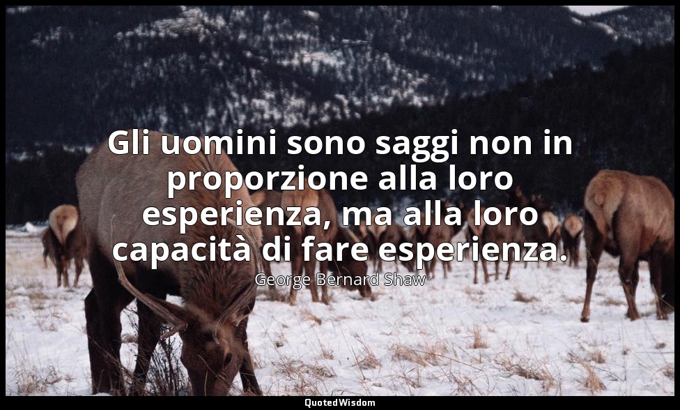 Gli uomini sono saggi non in proporzione alla loro esperienza, ma alla loro capa — George Bernard Shaw
