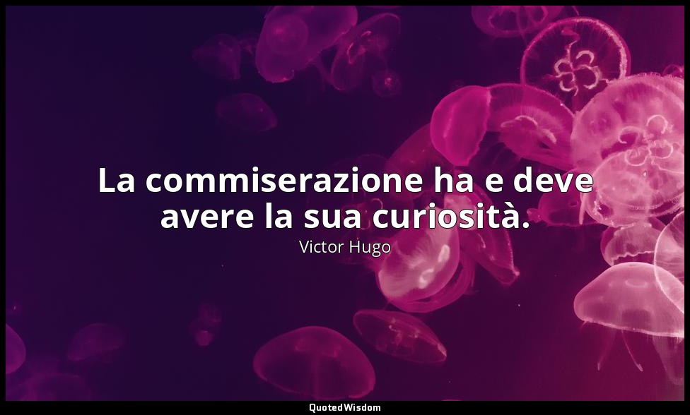 La commiserazione ha e deve avere la sua curiosità. — Victor Hugo