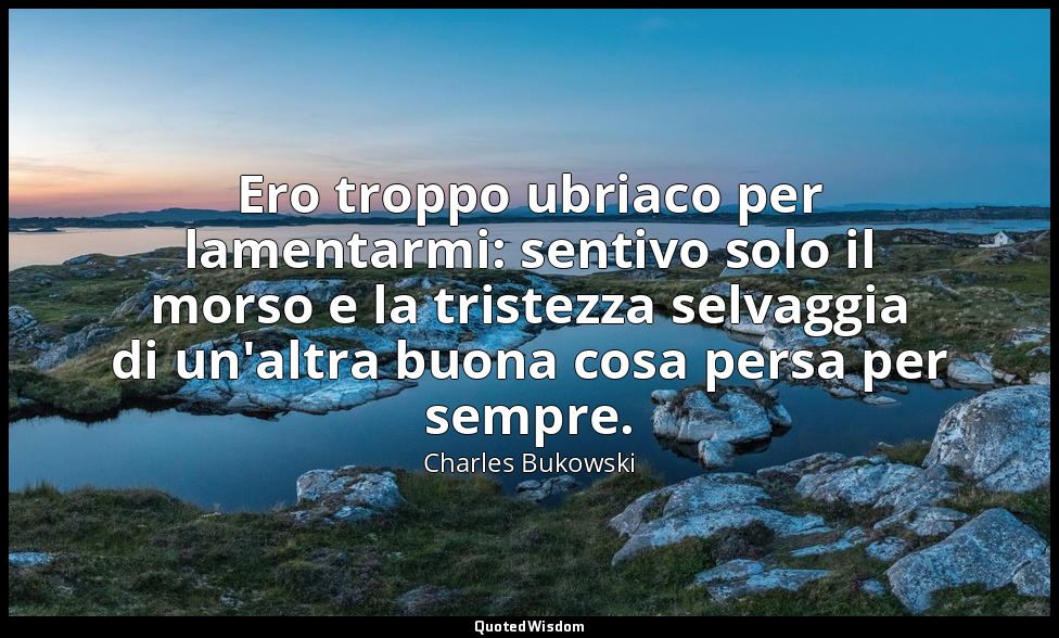 Ero troppo ubriaco per lamentarmi: sentivo solo il morso e la tristezza selvaggi — Charles Bukowski