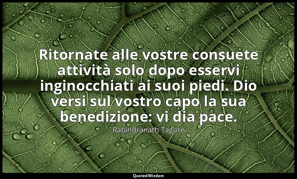 Ritornate alle vostre consuete attività solo dopo esservi inginocchiati ai suoi  — Rabindranath Tagore