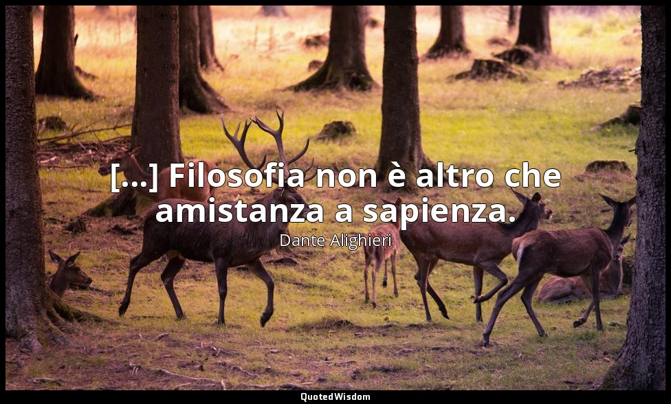 [...] Filosofia non è altro che amistanza a sapienza. — Dante Alighieri