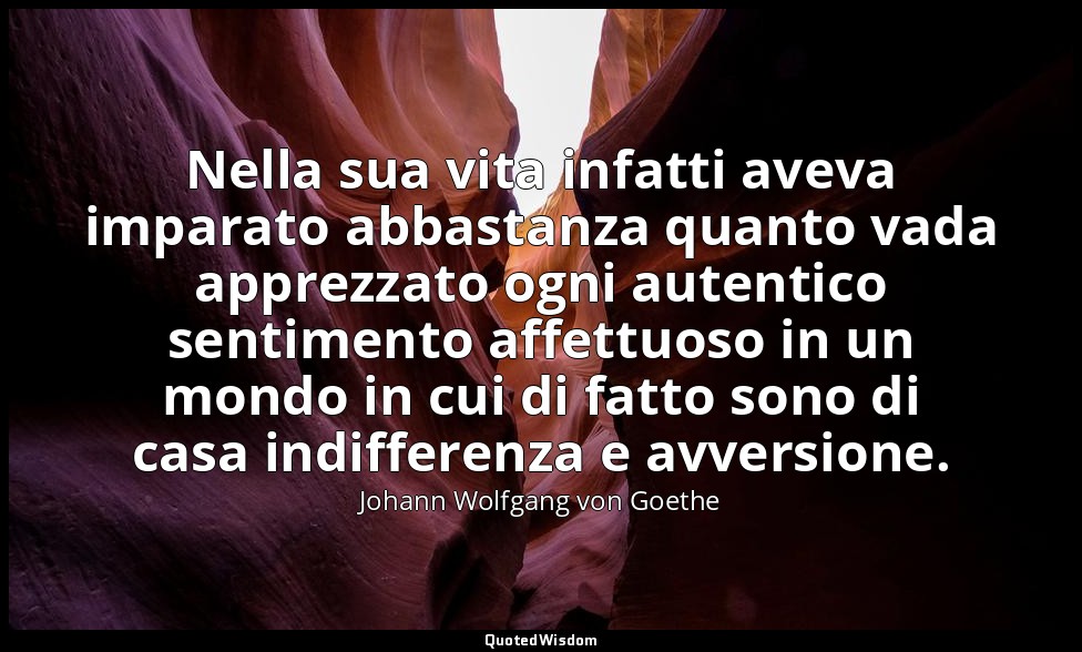 Nella sua vita infatti aveva imparato abbastanza quanto vada apprezzato ogni aut — Johann Wolfgang von Goethe