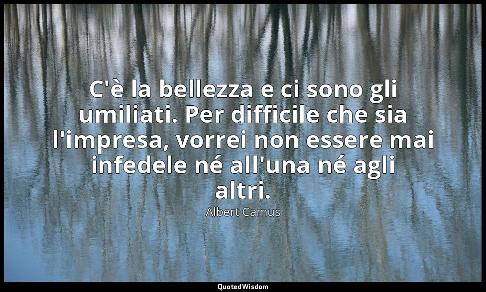 C'è la bellezza e ci sono gli umiliati. Per difficile che sia l'impresa, vorrei  — Albert Camus