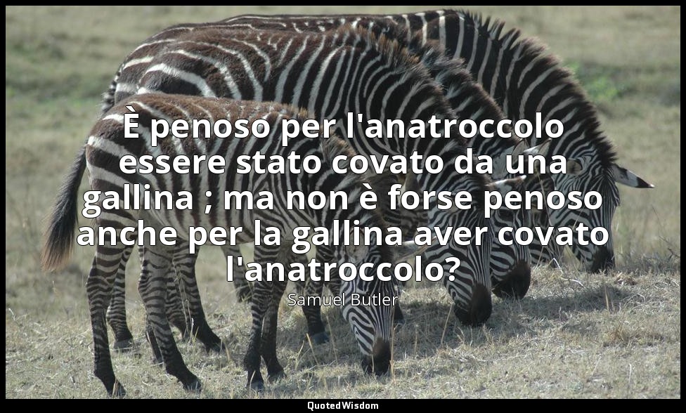È penoso per l'anatroccolo essere stato covato da una gallina ; ma non è forse p — Samuel Butler