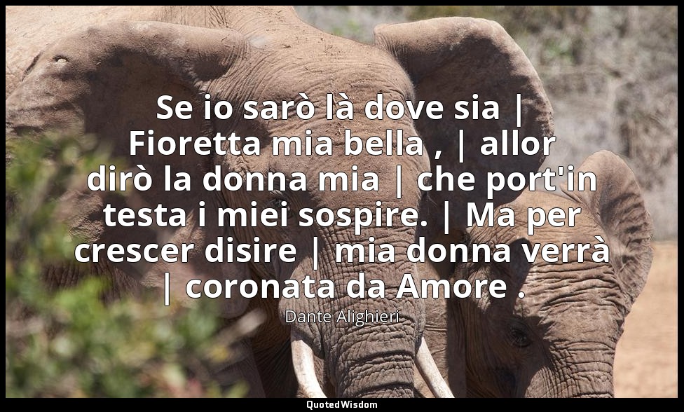Se io sarò là dove sia | Fioretta mia bella , | allor dirò la donna mia | che po — Dante Alighieri