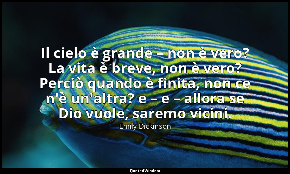 Il cielo è grande – non è vero? La vita è breve, non è vero? Perciò quando è fin — Emily Dickinson