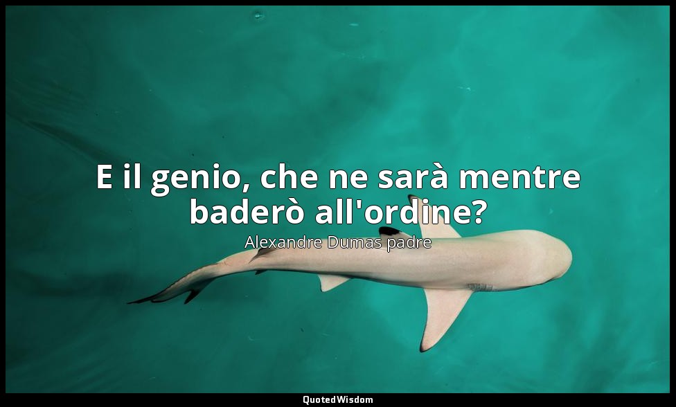 E il genio, che ne sarà mentre baderò all'ordine? — Alexandre Dumas padre