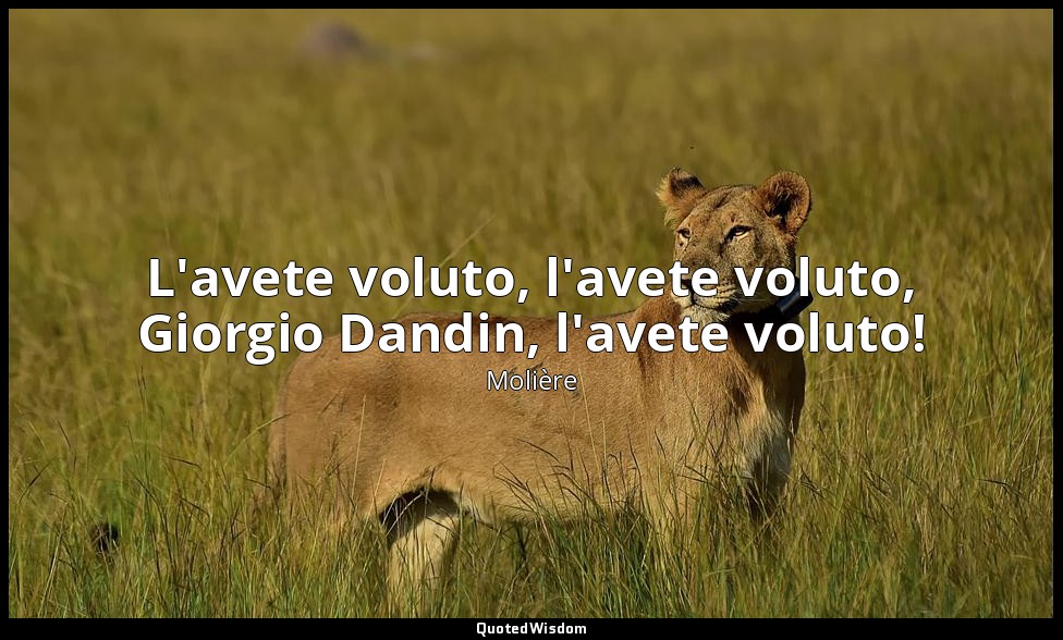 L'avete voluto, l'avete voluto, Giorgio Dandin, l'avete voluto! (da George Dandi — Molière
