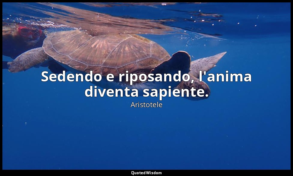 Sedendo e riposando, l'anima diventa sapiente. — Aristotele