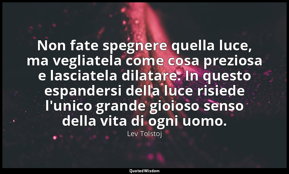 Non fate spegnere quella luce, ma vegliatela come cosa preziosa e lasciatela dil — Lev Tolstoj