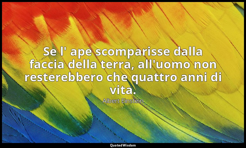 Se l' ape scomparisse dalla faccia della terra, all'uomo non resterebbero che qu — Albert Einstein