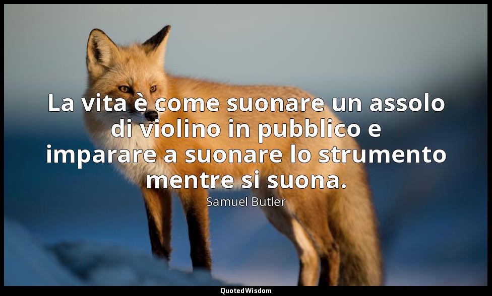La vita è come suonare un assolo di violino in pubblico e imparare a suonare lo  — Samuel Butler