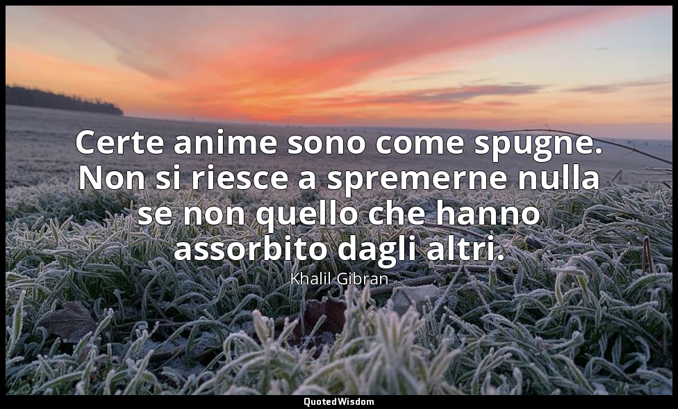 Certe anime sono come spugne. Non si riesce a spremerne nulla se non quello che  — Khalil Gibran