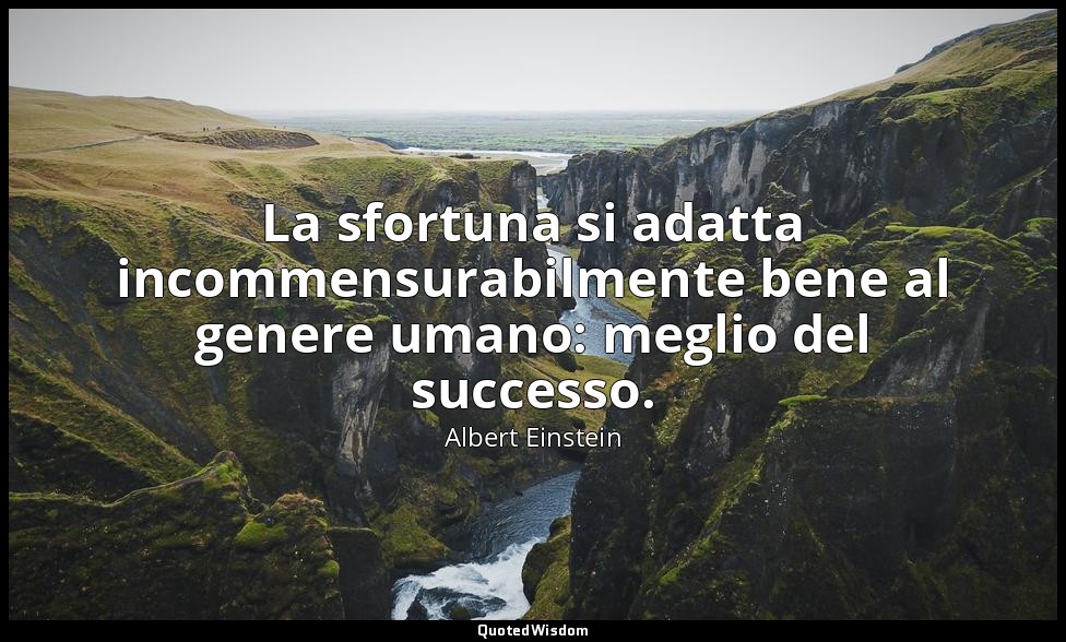 La sfortuna si adatta incommensurabilmente bene al genere umano: meglio del succ — Albert Einstein
