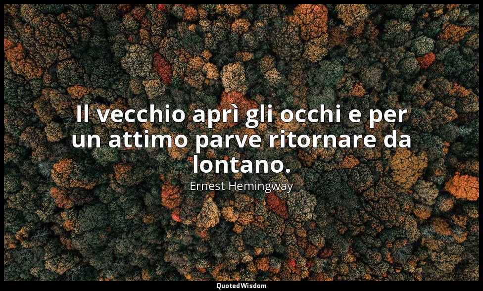 Il vecchio aprì gli occhi e per un attimo parve ritornare da lontano. — Ernest Hemingway