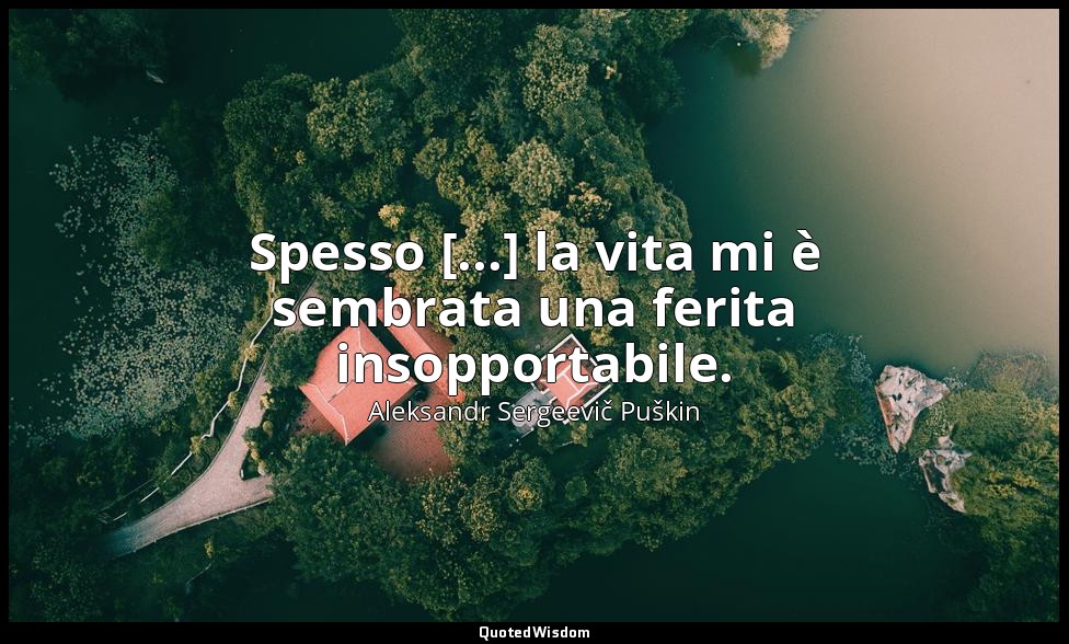 Spesso [...] la vita mi è sembrata una ferita insopportabile. — Aleksandr Sergeevič Puškin