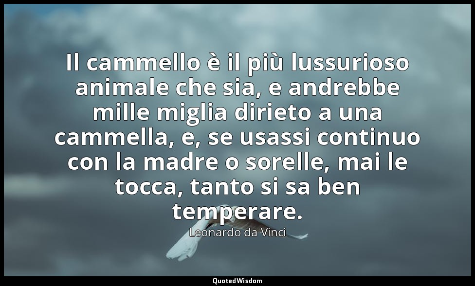 Il cammello è il più lussurioso animale che sia, e andrebbe mille miglia dirieto — Leonardo da Vinci