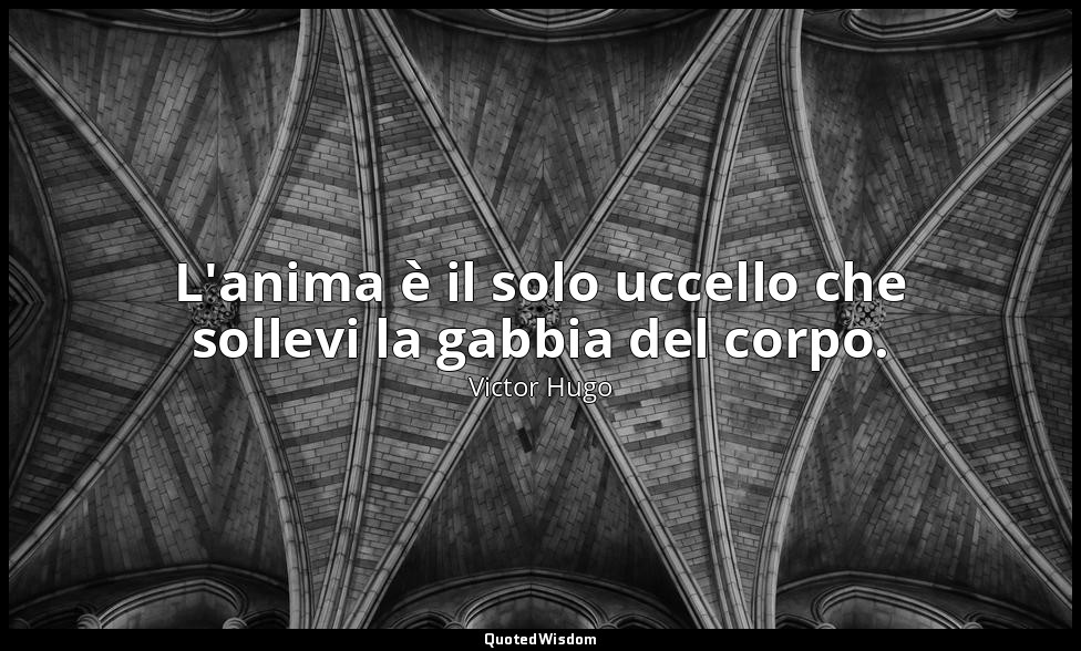 L'anima è il solo uccello che sollevi la gabbia del corpo. — Victor Hugo