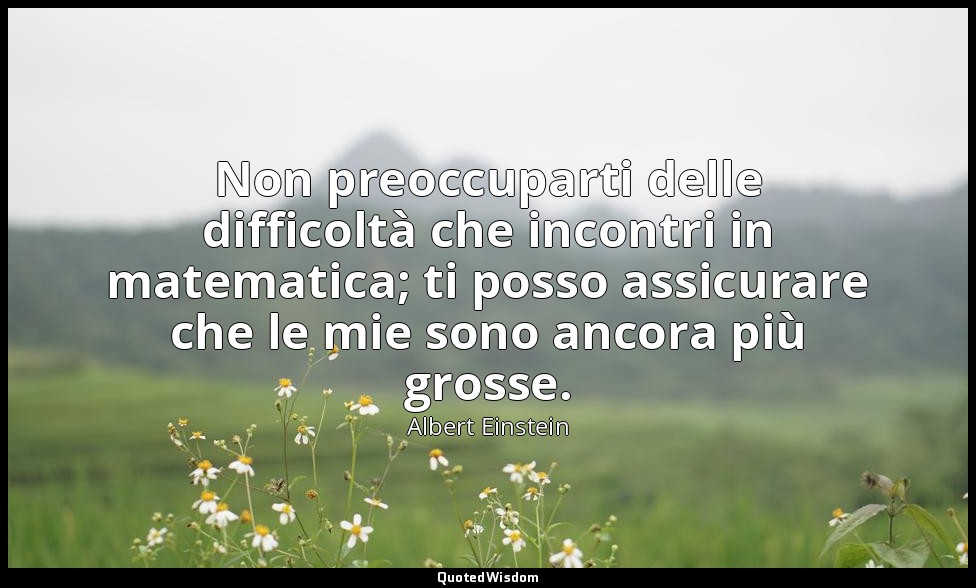 Non preoccuparti delle difficoltà che incontri in matematica; ti posso assicurar — Albert Einstein