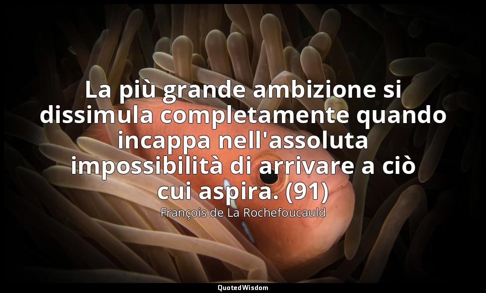 La più grande ambizione si dissimula completamente quando incappa nell'assoluta  — François de La Rochefoucauld