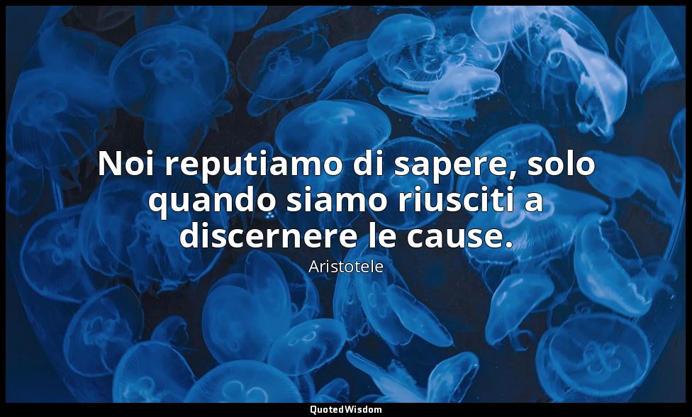 Noi reputiamo di sapere, solo quando siamo riusciti a discernere le cause. — Aristotele