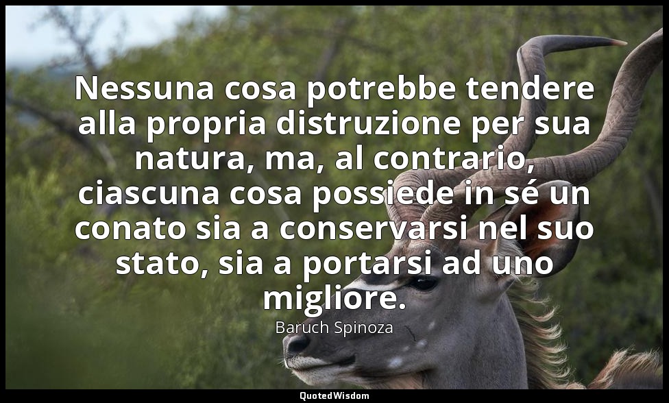 Nessuna cosa potrebbe tendere alla propria distruzione per sua natura, ma, al co — Baruch Spinoza