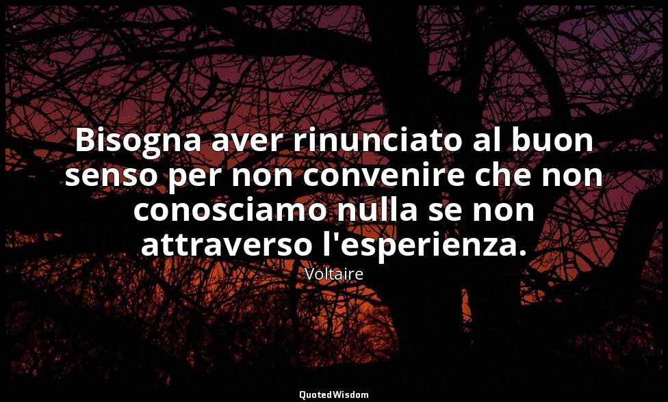 Bisogna aver rinunciato al buon senso per non convenire che non conosciamo nulla — Voltaire
