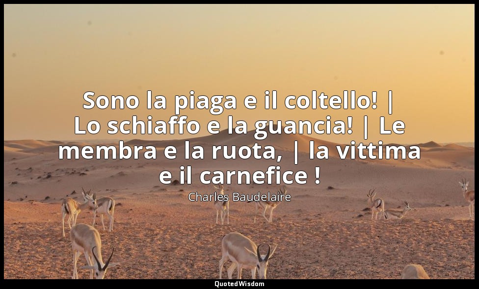 Sono la piaga e il coltello! | Lo schiaffo e la guancia! | Le membra e la ruota, — Charles Baudelaire
